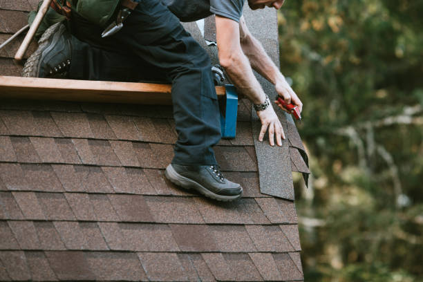Best Roof Gutter Cleaning  in Beech Mountain Lakes, PA